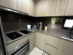 The Jovell (D17), Condominium #454442541